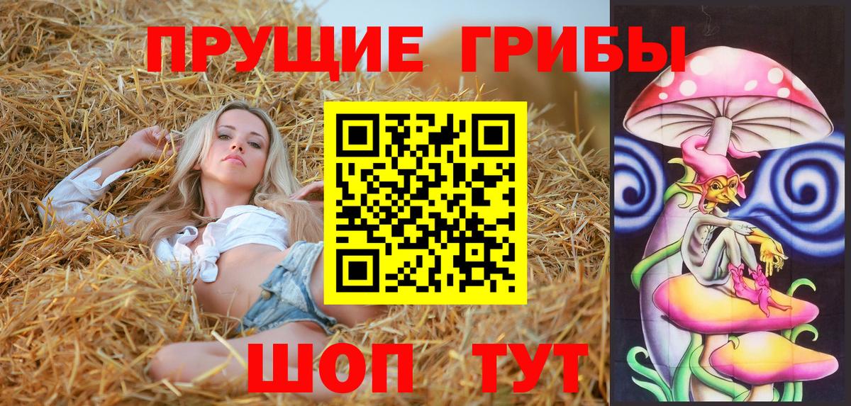 Галлюциногенные грибы мицелий Старая Купавна